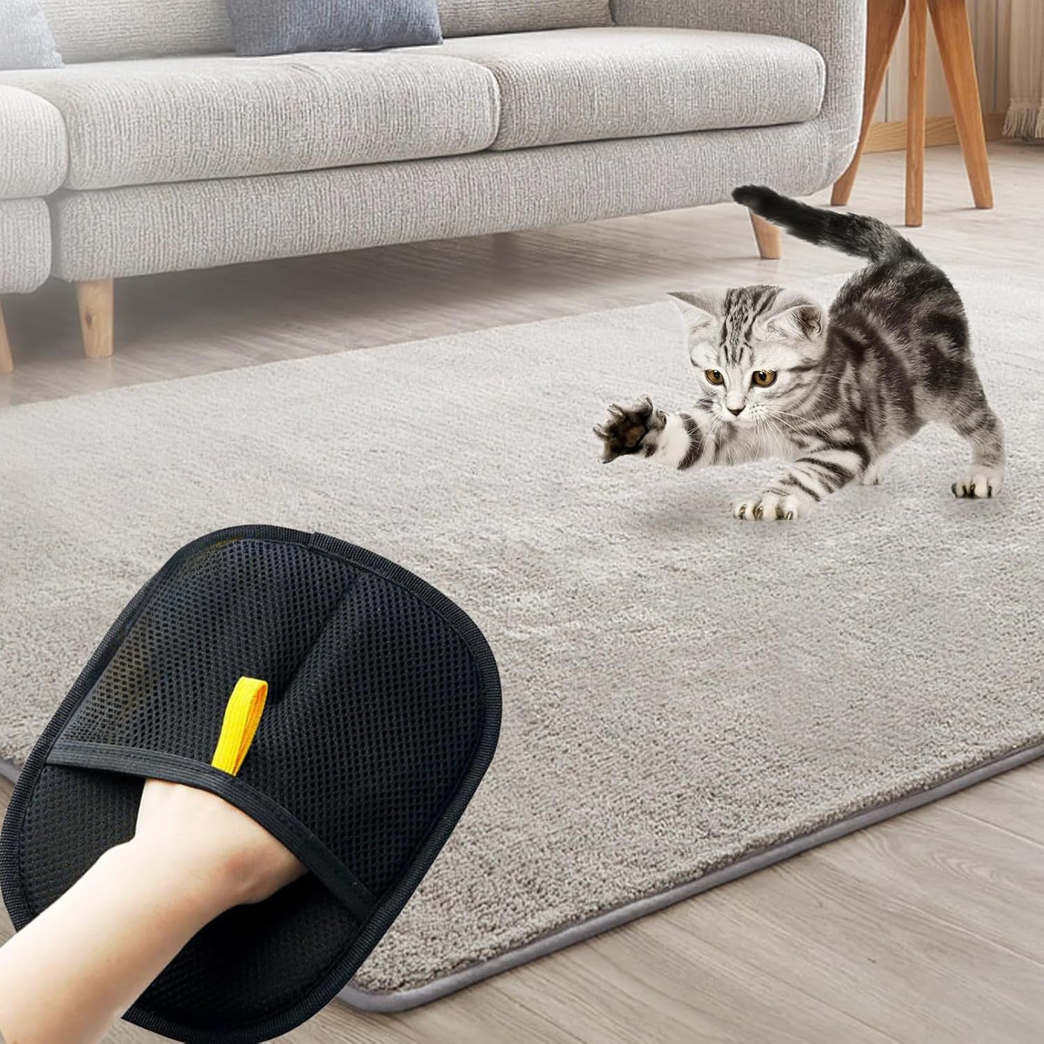 CleanPet - EasyGlove