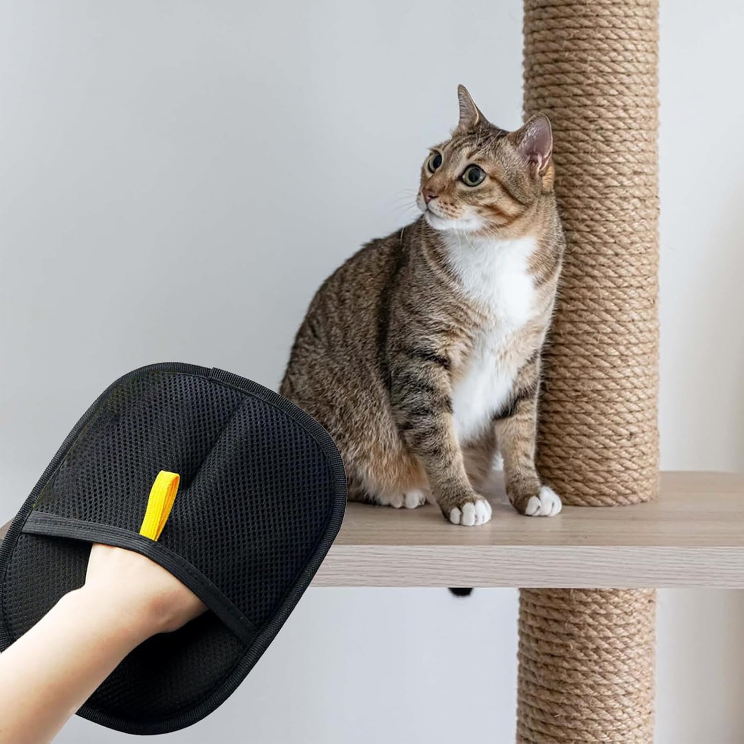 CleanPet - EasyGlove