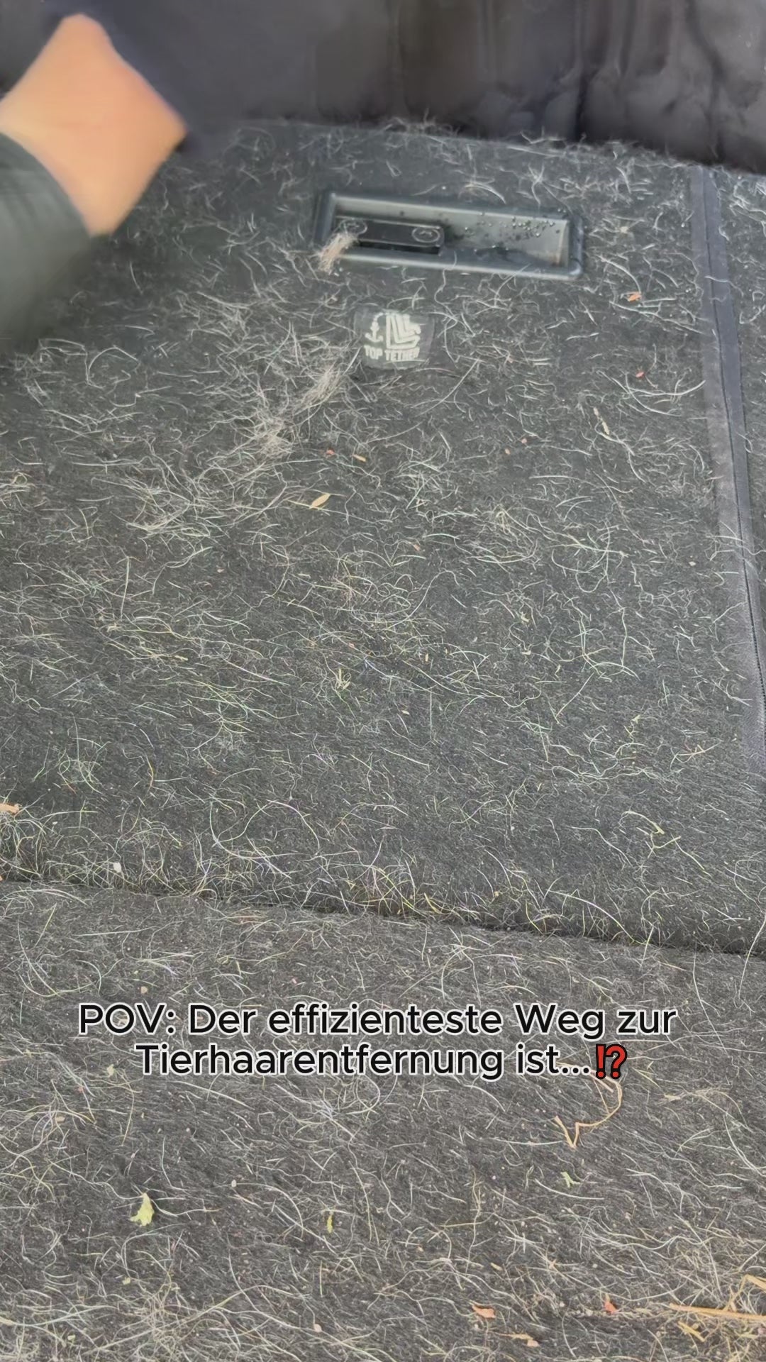 CleanPet - EasyGlove